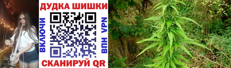 закладки  Миньяр  Марихуана SATIVA & INDICA 